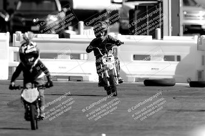 media/Nov-06-2022-SoCal Trackdays (Sun) [[208d2ccc26]]/Around the Pits/